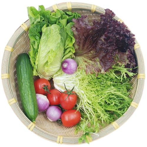 蔬菜新鲜套餐健身餐即食混合沙拉食材生菜沙拉生吃2斤装沙拉蔬菜 - 好